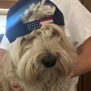 Meet your Posher, Allyson